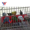 VIDDAVET  Flip Top Poultry Feeding Trough Baby Chick Feeder Plastic Chicken Feeder 16 holes and 28 holes linear feeder. 