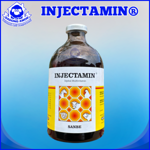 INJECTAMIN 50ml - injektamin 100 ml - Multivitamin Dosis tinggi untuk penyembuhan kambing Domba sapi