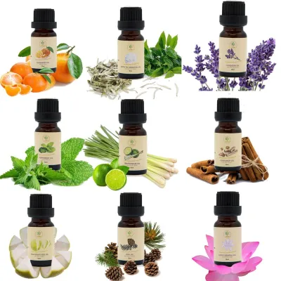 Đèn Ngủ Sứ Xông Tinh Dầu Phích Cắm. Đèn xông tinh dầu thơm phòng kiểu đèn ngủ sứ cắm điện ❤️Chọn mẫu❤️ khử mùi đuổi