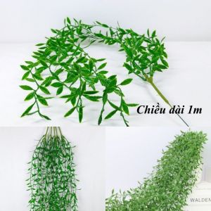Dây cúc tần ấn độ 1 chùm 5 nhánh dây leo trang trí nhà cửa quán cà phê ban công dây lá giả 1m decor sự kiện tiểu cảnh tường cây