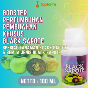 Pupuk Buah Super Lebat / Pupuk Khusus Black Sapote / Pupuk Khusus Pelebat Buah Sapote / Pupuk Pelebat Buah Black Sapote / Pupuk Tanaman Buah Black Sapote