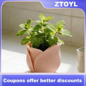 【ZTOYL】 Thu nhỏ tăng nồi sáng tạo thực vật container cho bàn Tabletop trang trí không gian nhỏ