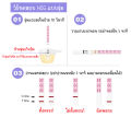 💛 จุ่ม 5 ชิ้น ที่ตรวจครรภ์ Bluecross แถมถ้วย 2 ใบ HCG มาตรฐาน อย.ใช้ตรวจใน รพ.. 