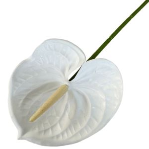 OGUK51 60cm Artificial Small Anthurium Soft Rubber Multicolor Simulation Plant Photo Props Faux Red Palm Home Decoration