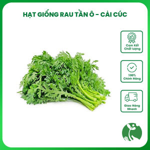 Hạt giống rau Tần ô (Cải cúc Cúc nếp) - Gói 15gr - Tỉ lệ nảy mầm >90% - Trồng quanh năm