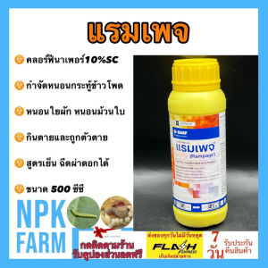 แรมเพจ 500 ซีซี ยาฆ่าแมลง คลอร์ฟีนาเพอร์ สูตรเย็น สารกำจัดแมลง หนอนกระทู้ข้าวโพด หนอนใยผัก หนอนหนังเหนียว หนอน อัตรา 1 ขวด ผสมน้ำ 400 ลิตร