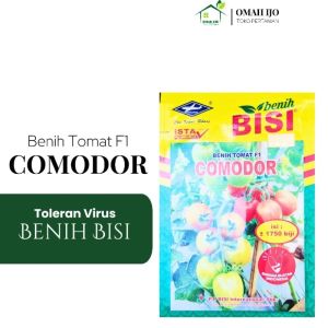 Benih Tomat Comodor 5gr Original Cocok untuk Dataran Rendah–Tinggi