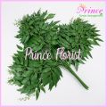 DAUN WILLOW LUSINAN BERCABANG 3 DAUN HIASAN RUANGAN ARTIFICIAL DEKORASI PERNIKAHAN DAUN RUSCUS ZAITUN BUATAN TANGAN TANAMAN BUNGA HIJAU PLASTIK DECOR RUMAH LUAR OUTDOOR MURAH BERKUALITAS IMPORT. 