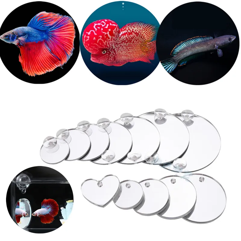 Acrylic Aquarium Betta Mirror Fish Tank Floating Round Mirror For