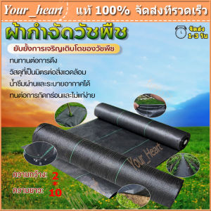 คลุมวัชพืช ยาว 10 ม. กำจัดหญ้า พลาสติก พลาสติก คลุมหญ้า ผ้าคลุมดิน ผ้าคลุมวัชพืช ป้องกันผลิตภัณฑ์ วัชพืช