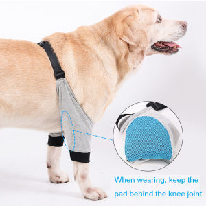 Kakaoppa Dog Front Legs Protector Walking Auxiliary Labrador Breathable Support Harness for Leg Disabled Big Dog Joint Recovery Bandage