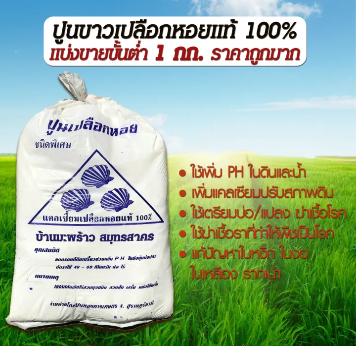 ปูนขาวเปลือกหอยแท้ 100% ปรับสภาพดิน เพิ่มผลผลิต