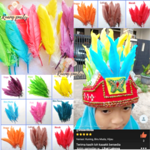 MURAH Hiasan Bulu Ayam Warna-warni isi 10 pcs / Bulu ayam 10pcs Warna / Hiasan Kerajinan Bulu