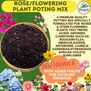 Rose/Flowering Plants Potting Mix Soil Mix  Buy 5L free 100g Organic  Fertilizer  For Camelias Daisy Gardenia Azeleas Rhododendrons Hibiscus Roses Sunflower and to all flowering plants