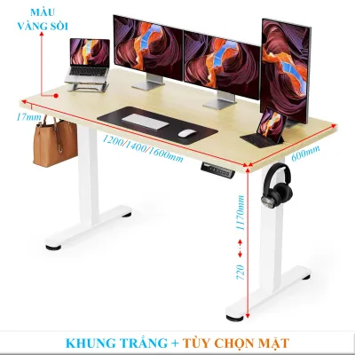 Bàn nâng hạ High Sport Ergonomic MTS1200/1400/1600 BH 36 tháng sử dụng