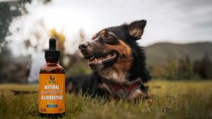 Dog Antitics for Infections Allergies & Coughs – Bacon Flavor 2 Oz Natural Antitics for Dogs with Cranberry Provide Urination & Digestion Care – Natural Ingredients