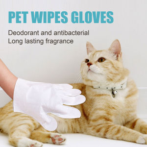 PEMBERSIH BULU KUCING ANJING 1/6pcs Pet Disposable Cleaning Gloves Wash Free Cats Dogs SPA Bath Supplies Massage Non Woven Fabric No Rinse Soft Eye Wipes