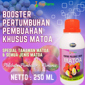 Pupuk Buah Super Lebat / Pupuk Buat Cepat Berbuah / Pupuk Pelebat Buah Matoa / Pupuk Booster Buah Matoa / Pupuk Buah Matoa / Pupuk Matoa