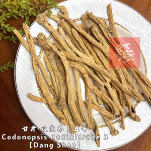 Red Sea Herbs 甘肃纹党参 一等/五等 | 高品质无硫磺中药材 | 补中益气 Dang Shen | Codonopsis Radix