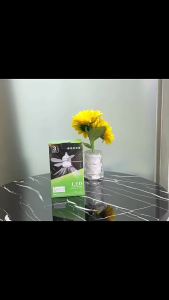 Fan With Light Living Room Light With Fan Led Light With Fan Chandelier Fan Light Cross-Border Hot Removable Fan Blade Light Three-Color Dimming 风扇灯