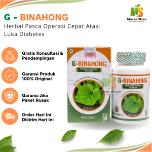 G-Binahong Kapsul  Ekstrak Ikan Gabus Kutuk Albumin Obat Herbal  Keringkan Luka Diabetes Dan Luka Pasca Oprasi