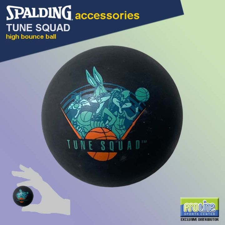 spalding tune squad basketball