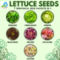 LETTUCE SEED VARIETY/GREEN RAPID/ROMAINE/ICEBERG/MIA RED/AVA RED/KAYLA RED/BLACK ROSE/ HIGH QUALITY SEEDS/HIGHER GERMINATION RATE. 