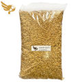 Jockey Oats 1kg - 1 kilogram Repacked - Bird Feeds - 1 kg - Bird Food Philippines - Birds - Birding - pgb - petpoultryph. 