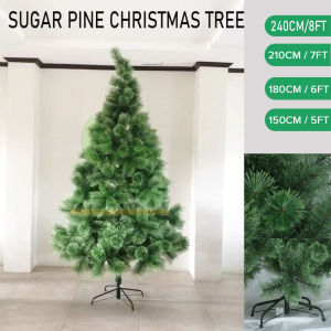 Buyyu High Quality Sugar Pine Christmas tree 4FT/5FT/6FT/7FT/8FT Christmas decoration Christmas tree