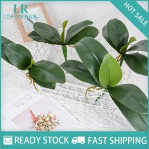 LF Wholesale✨Flash Sale ✨ ดอกกล้วยไม้ใบเทียมดอกกล้วยไม้กล้วยไม้กล้วยไม้ใบเทียมดอกซิมบิเดียมใบไม้สีเขียวสัมผัสแท้ตกแต่งบ้านจำนวนมาก