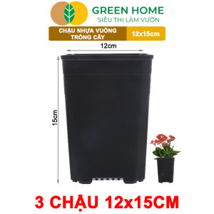 3 Chậu Vuông Trồng Cây Greenhome Nhiều Kích Thước Nhựa Cứng Thoát Nước Tốt Trồng Hoa Kiểng Lá