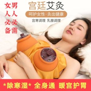 Multifunctional health-preserving whole body conditioning equipment(wormwood