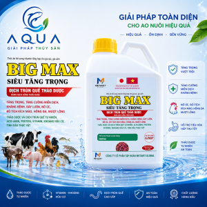 BIG MAX Siêu Tăng Trọng Dịch Trùn Quế Thảo Dược Tăng Cân Vật Nuôi Heo Gà Cá Tôm