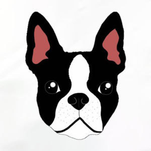 ตัวรีดติดเสื้อการ์ตูนสัตว์ ANIMALS SET.1  รีดง่าย แผ่นฟิล์มรีดร้อน DIY