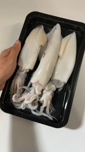 FRESH LOCAL WILD CAUGHT BIG SOTONG (Seafood) 海抓大苏东 500G+- (FREE DELIVERY for purchase RM120+)
