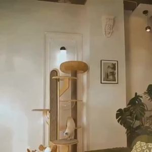 Cactus cat climbing frame cat bed cat tree all-in-one net celebrity vertical does not occupy large space capsule