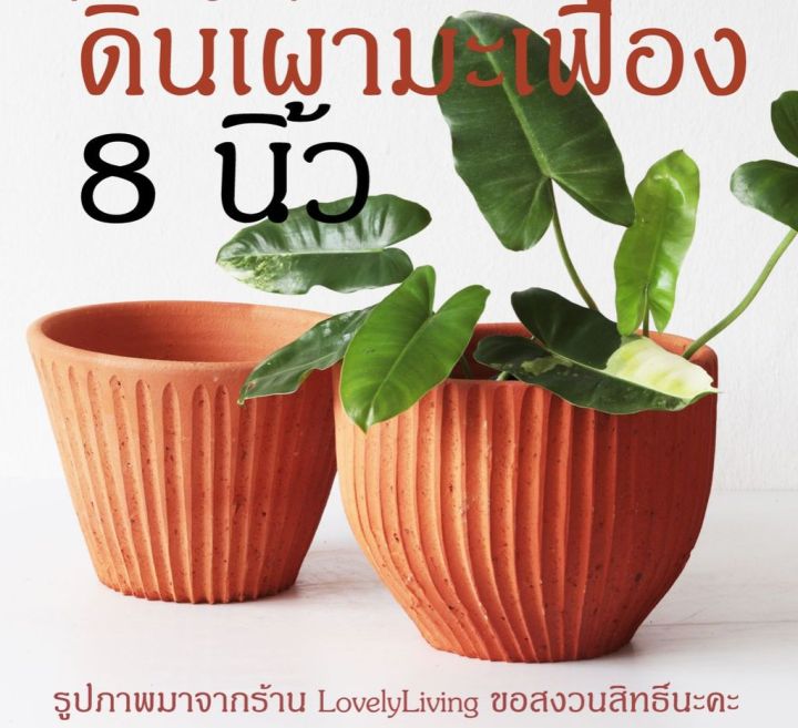 กระถางดินเผารุ่นมะเฟือง 8 นิ้ว ดีไซน์มินิมอล