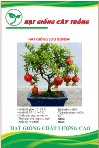 Hạt Giống Cây Lựu Bonsai CT379 - Gói 5 hạt