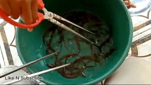 BISA COD Gunting capit belut alat pencapit udang penjepit capitan ikan japit penangkap kepiting tangkap belut sawah panjang jepit 52 dan 38cm multifungsi