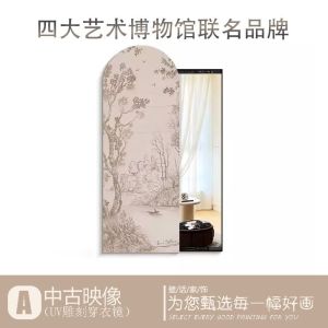 Wall Mirror Full Length Full Body Mirror Wall Mount Mirror With Rack Dressing Mirror With Stand Dressing Mirror High-end Hidden Mirror Decorative Painting 镜子全身