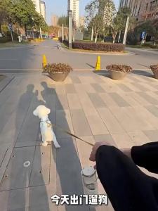 Portable Dog Water Bottle FoldableDrinking Cup Leash Walking Travel Bottle