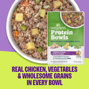 Wellness Protein Bowls Fresh Dog Food 6.2oz (176g) | Slow-Cooked Complete Meals w 7 Recipes