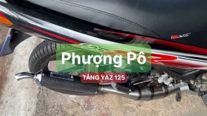 Pô Lon Tăng 2 Thì AHM Nhúng Carbon Chống Nóng Cho Su.zu/ki Sport RGV RGX Satria Nova Dash Tena YaZ125 XiPo 120