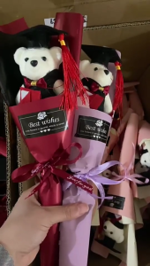 Doctor Bear Bouquets Graduation Bouquets Handmade Artificial Bouquets with Bear for Student and Teacher Graduation Day