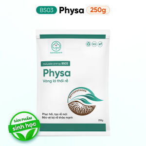 BS03 Physa Trị Vàng Lá Thối Rễ Phục Hồi Rễ - Xử Lý Tuyến Trung Nấm Đất 250g 500g - Bác Sĩ Cây Xanh