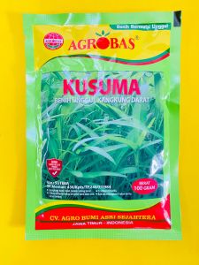 Benih Unggul Kangkung Darat KUSUMA josss tenann!!