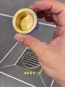 Nâng cấp nắp cống nhà tắm với cài đặt dễ dàng sewages backflow bảo vệ vệ sinh ống thoát đặt dưới sàn lọc cho nhà