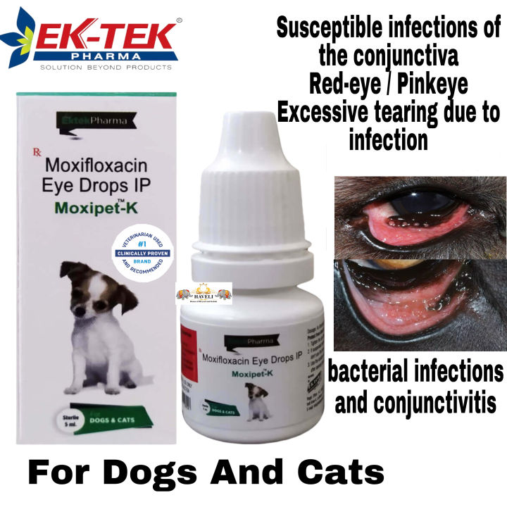 Ektek Pharma Moxipet Eye Drops For Dogs And Cats Eye Infection