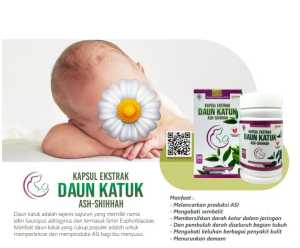 Kapsul Ekstrak Daun KATUK ASI Booster Melancarkan Produksi ASI