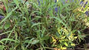 Winter Fishing Warm Shoes Mens Non-Slip Waterproof Professional Household plus Nail Snow Boots Wild Winter Rock Fishing Reef Climbing Shoes